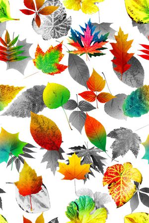 叶子印花华亿平台图片