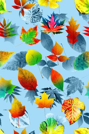 叶子印花华亿平台图片