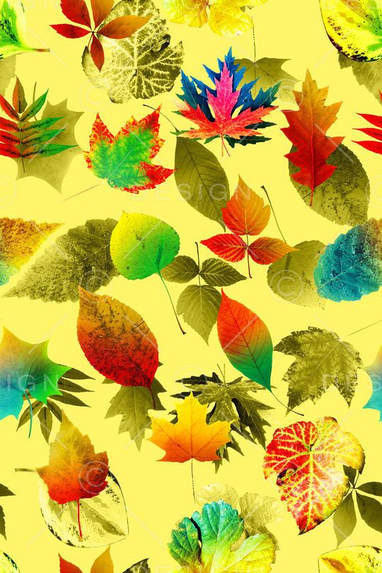 叶子印花华亿平台图片