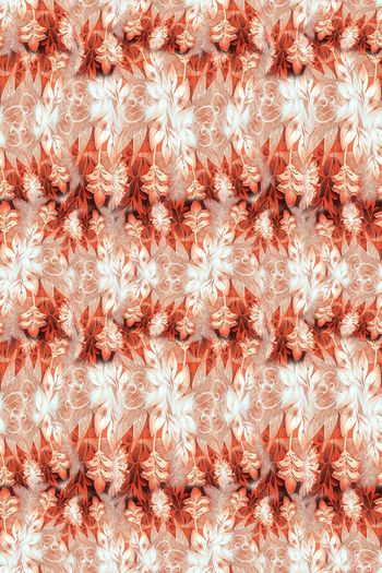 665024-10231ztkf-22940 夏