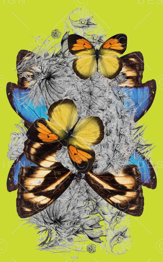 树林印花华亿平台图片