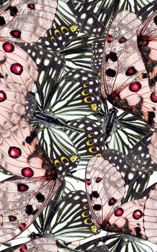 迷彩印花华亿平台图片