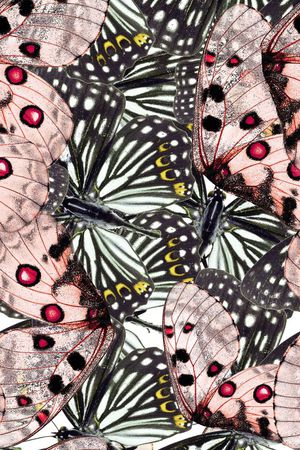 迷彩印花华亿平台图片