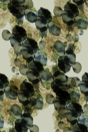 炫彩印花华亿平台图片