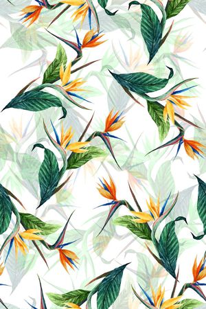 天堂鸟花印花华亿平台图片