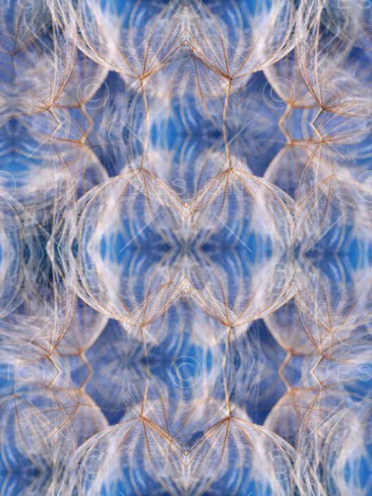 梦幻印花华亿平台图片