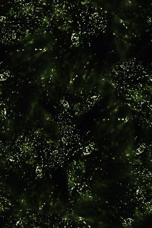 圆点印花华亿平台图片