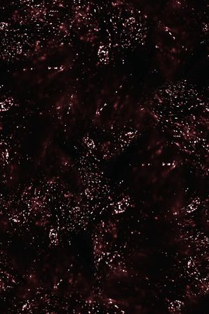 圆点印花华亿平台图片