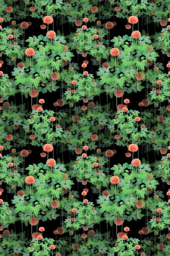 665385-10231ztkf-22940 夏