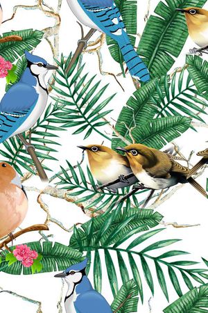 莫妮卡-女装华亿平台印花华亿平台图片