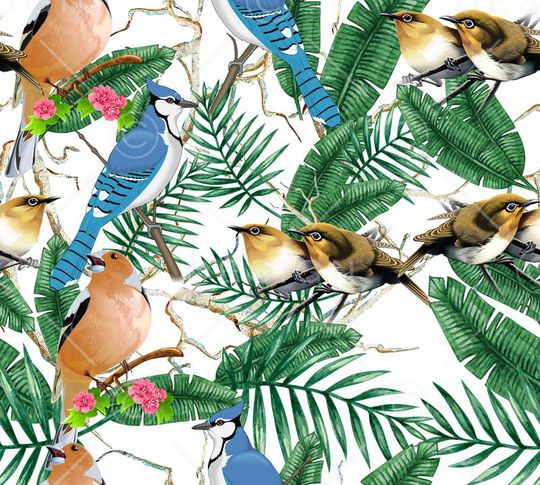 莫妮卡-女装华亿平台印花华亿平台图片