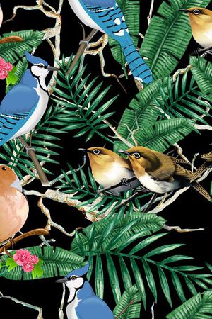 莫妮卡-女装华亿平台印花华亿平台图片