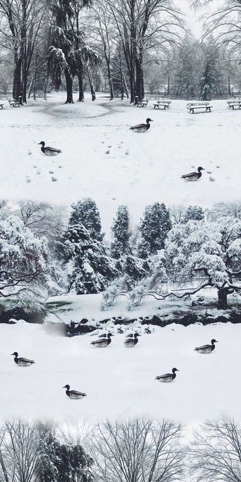 树林印花华亿平台图片