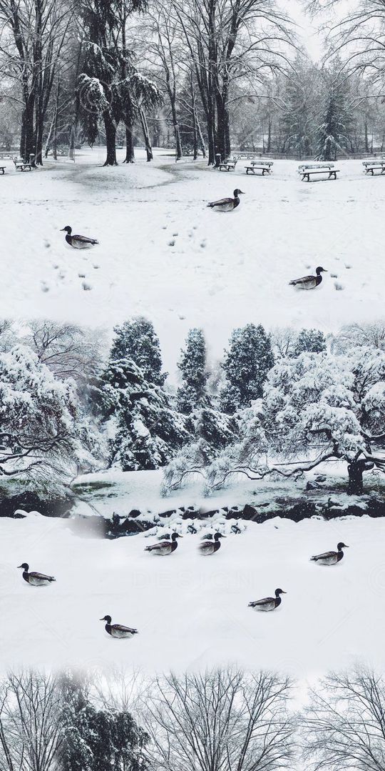 树林印花华亿平台图片