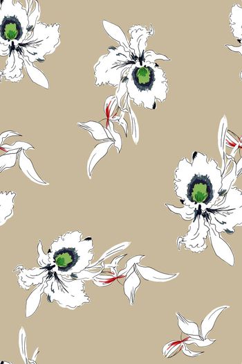 valentino印花华亿平台图片