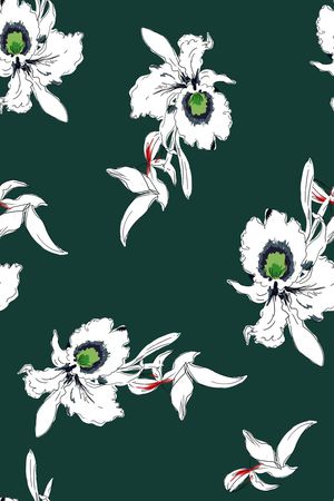 valentino印花华亿平台图片