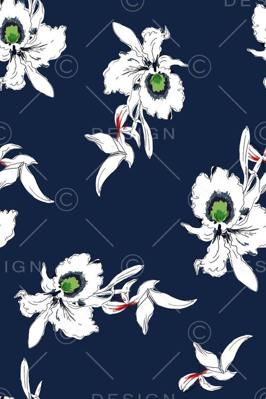 valentino印花华亿平台图片