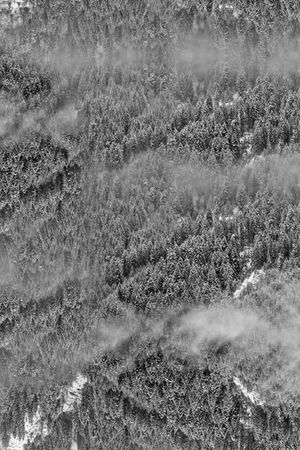 风景印花华亿平台图片