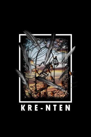 羽毛印花华亿平台图片