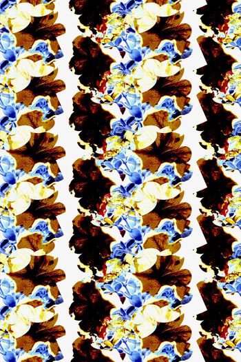 665860-热带花卉1