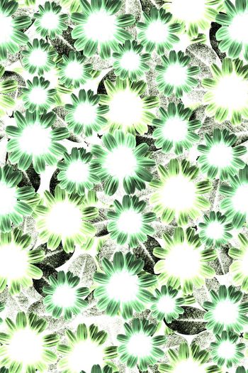 665908-时尚花卉花纹22