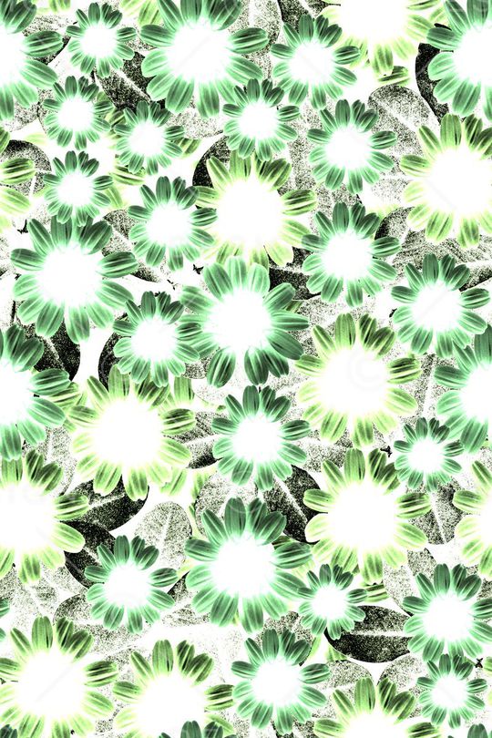 时尚花卉印花华亿平台图片