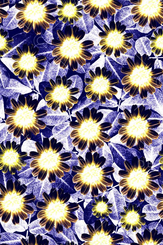 时尚花卉印花华亿平台图片