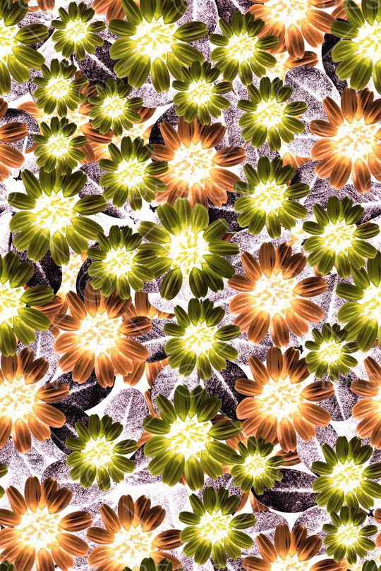 时尚花卉印花华亿平台图片