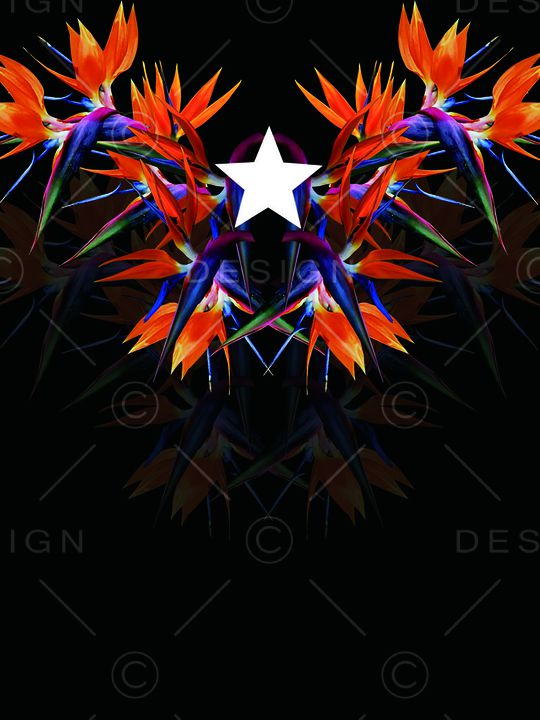 潮流男装印花华亿平台图片