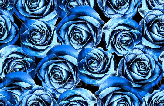 花朵印花华亿平台图片