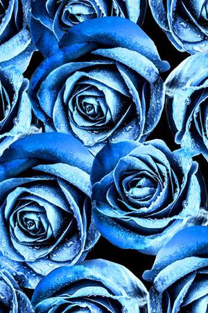 花朵印花华亿平台图片