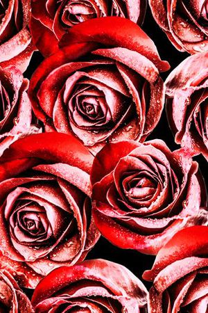 花朵印花华亿平台图片