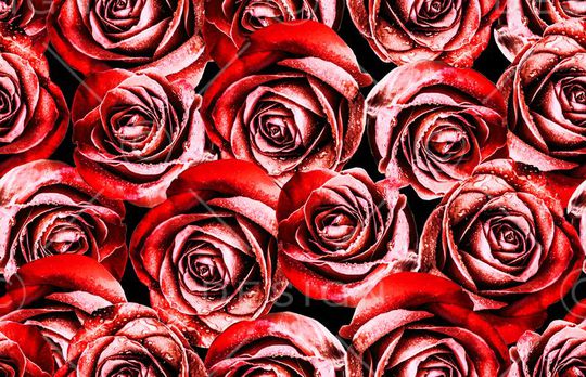 花朵印花华亿平台图片