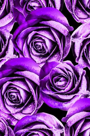 花朵印花华亿平台图片