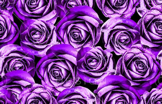 花朵印花华亿平台图片