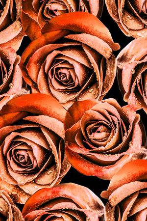 花朵印花华亿平台图片