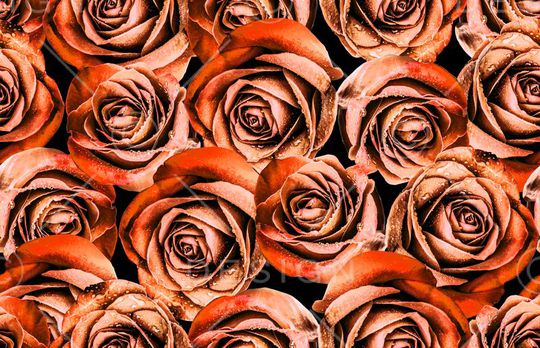 花朵印花华亿平台图片