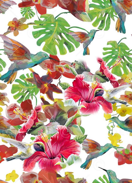 莫妮卡-女装华亿平台印花华亿平台图片