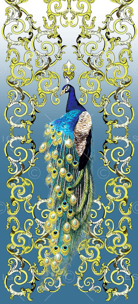 瑜伽裤华亿平台印花华亿平台图片