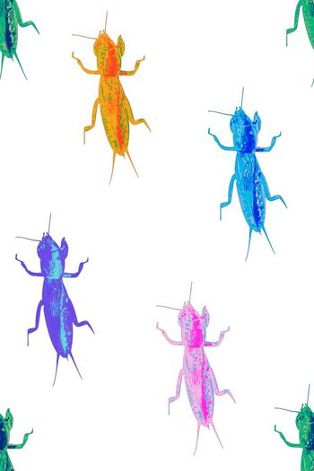 昆虫印花华亿平台图片