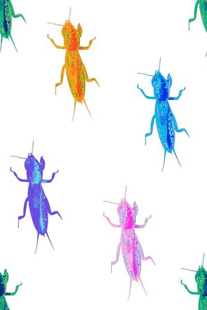 昆虫印花华亿平台图片