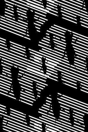 细条纹印花华亿平台图片