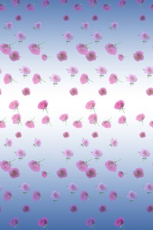 淑女印花华亿平台图片