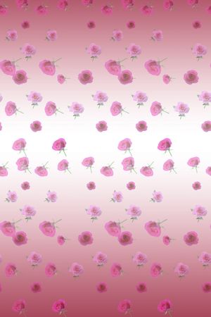 淑女印花华亿平台图片