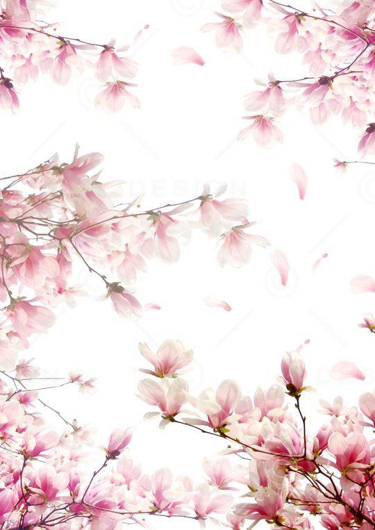 桃花印花华亿平台图片