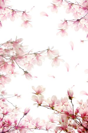 桃花印花华亿平台图片