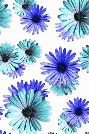 田园风印花华亿平台图片