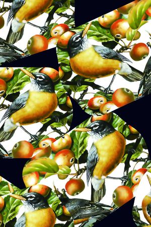 莫妮卡-大牌华亿平台印花华亿平台图片