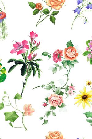 莫妮卡-女装华亿平台印花华亿平台图片