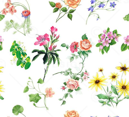 莫妮卡-女装华亿平台印花华亿平台图片